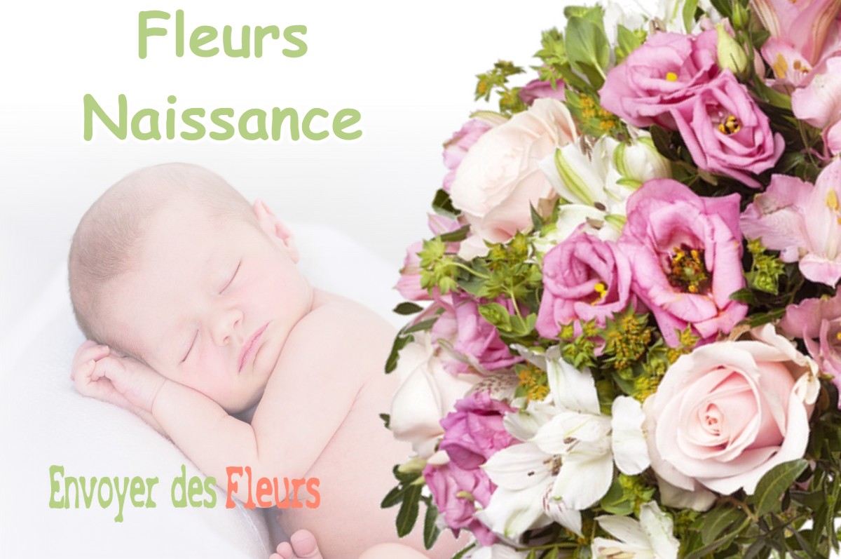 lIVRAISON FLEURS NAISSANCE à BOUZONVILLE-AUX-BOIS